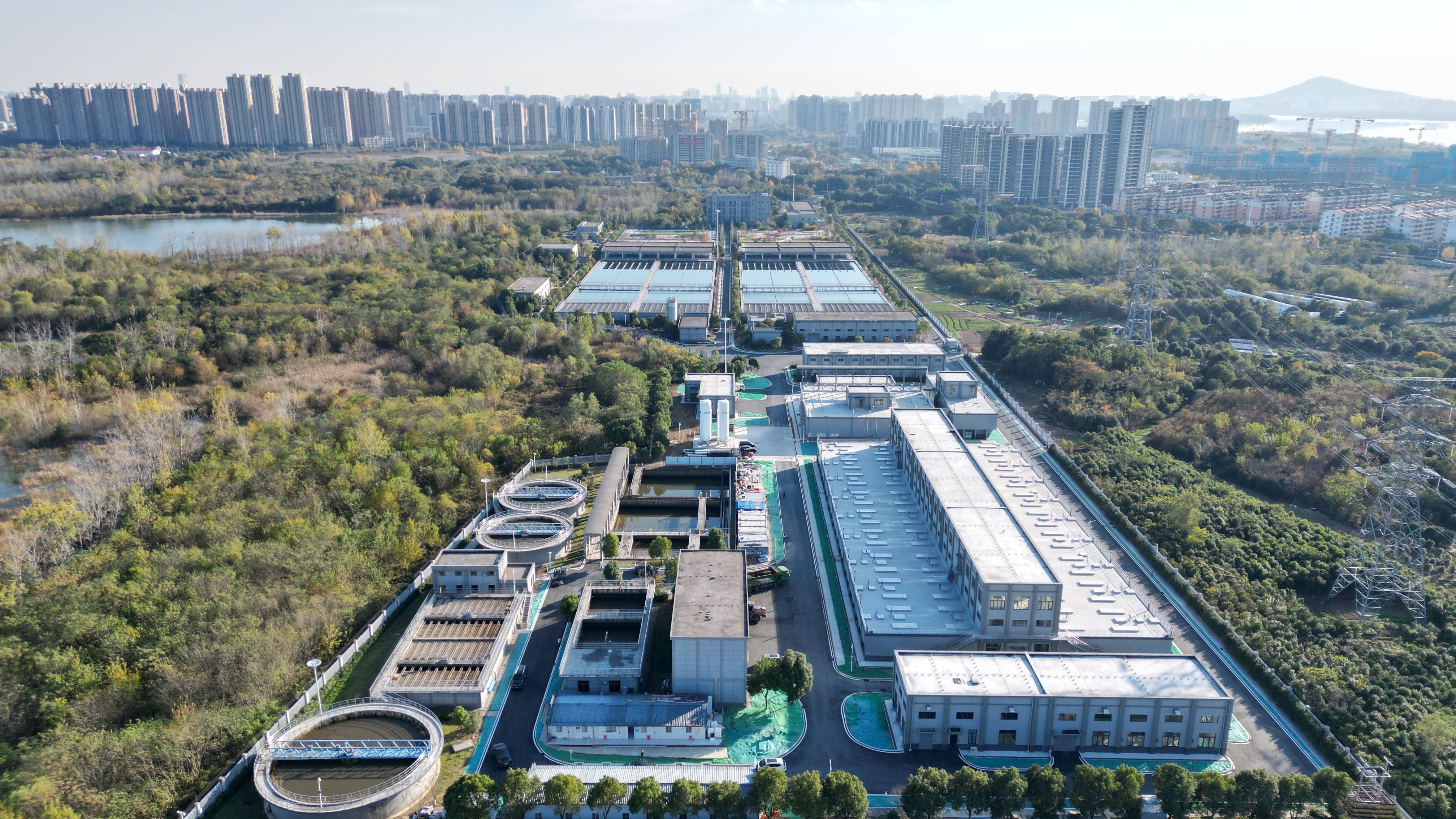 鸡西市合肥专业企业价值增长(合肥市重点企业产业目录)