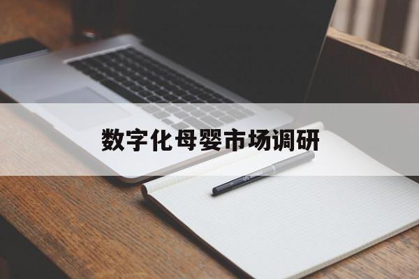 鸡西市数字化母婴市场调研(数字化母婴市场调研报告)